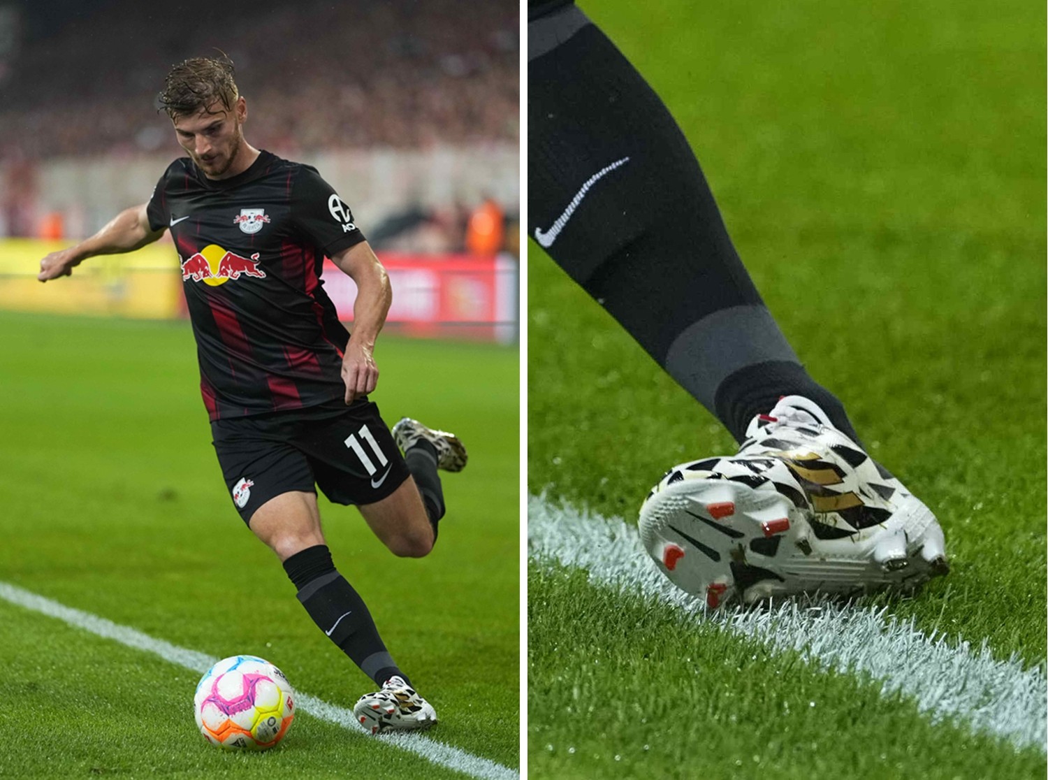 白蚁防治资质证书